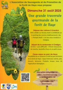 La grande traversée gourmande de la forêt de Haye